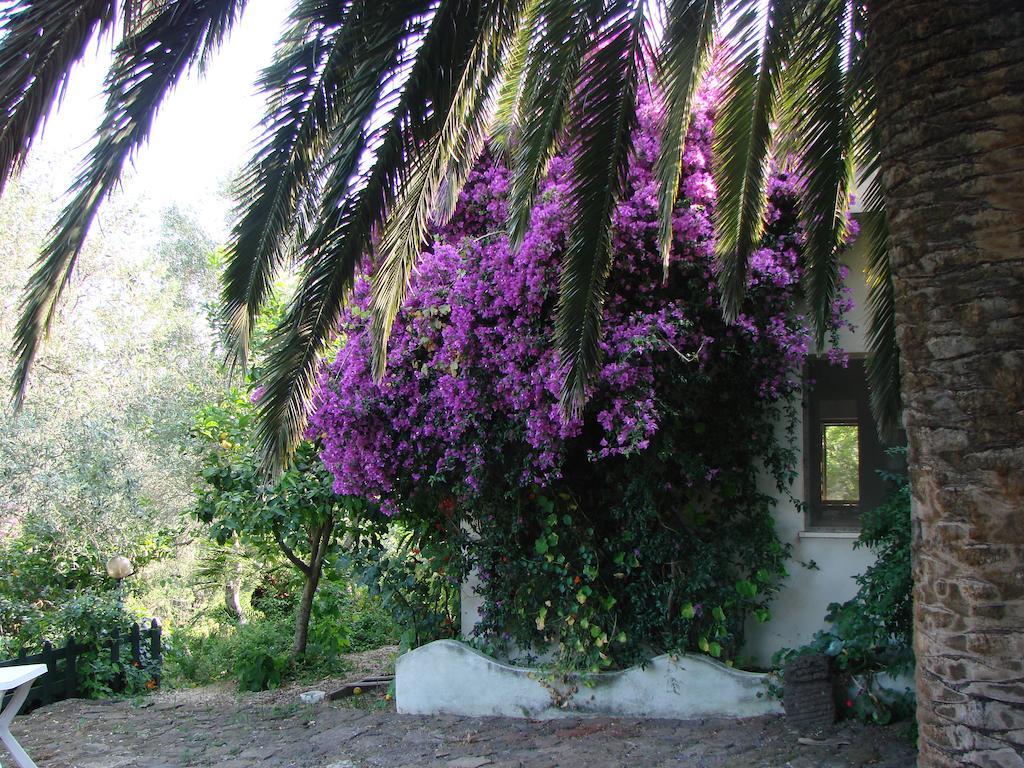 Agriturismo Su Tiresi Cala Gonone Luaran gambar