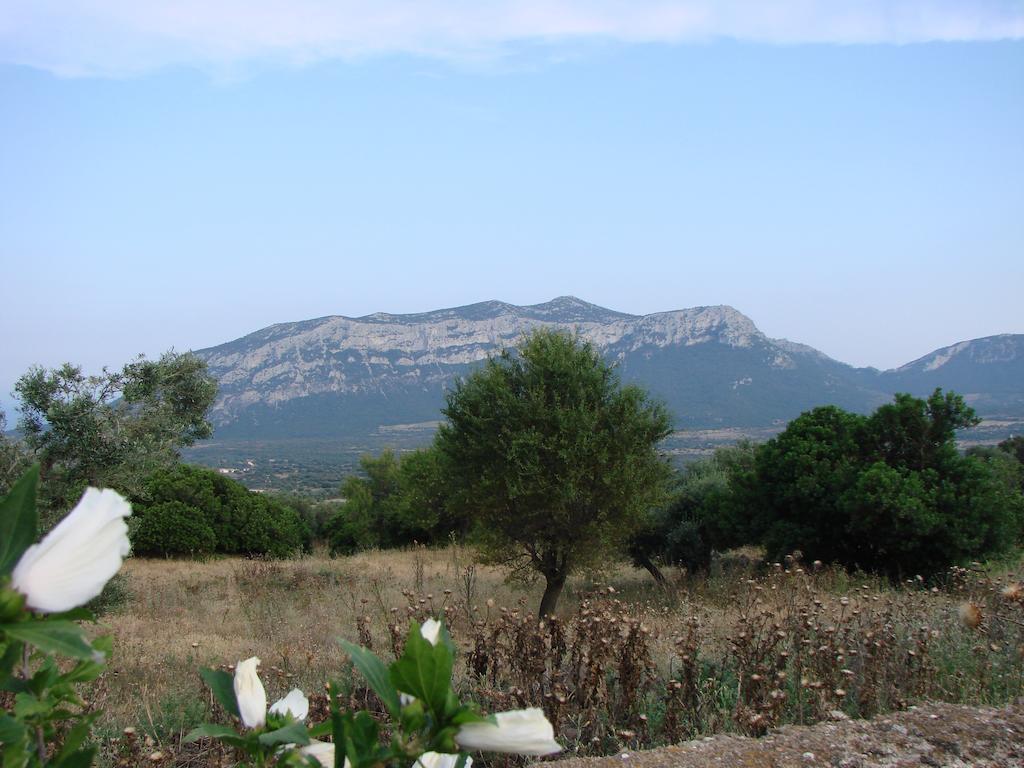 Agriturismo Su Tiresi Cala Gonone Luaran gambar