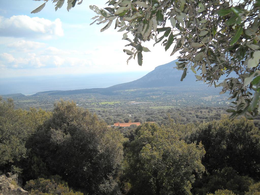 Agriturismo Su Tiresi Cala Gonone Luaran gambar
