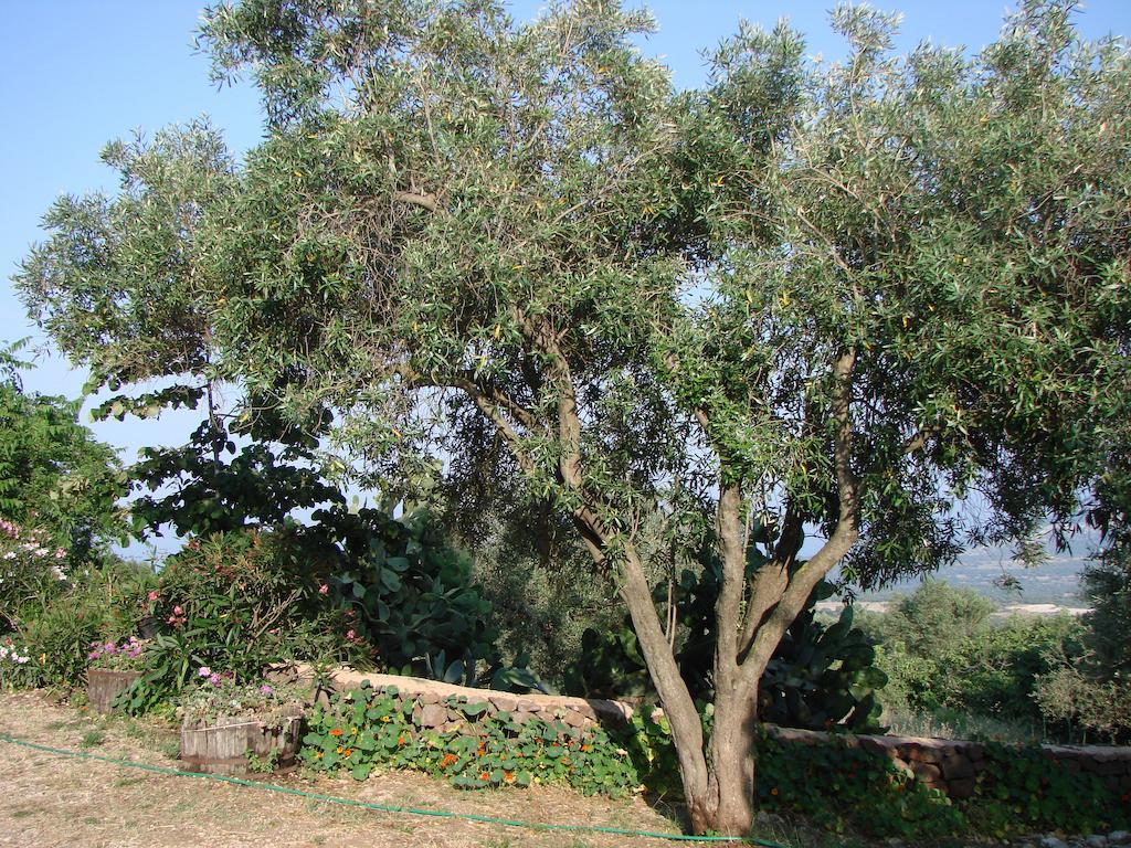 Agriturismo Su Tiresi Cala Gonone Luaran gambar