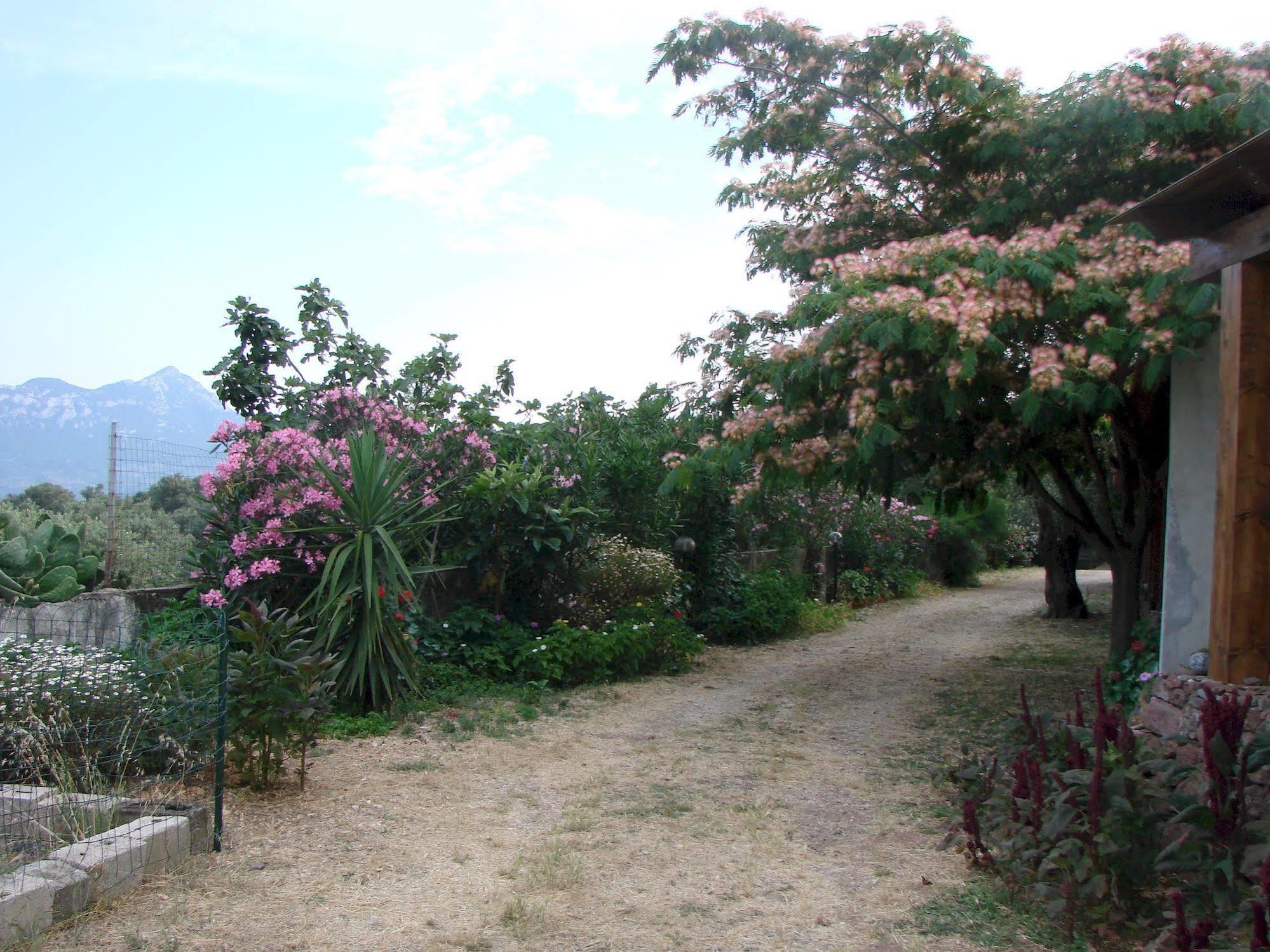 Agriturismo Su Tiresi Cala Gonone Luaran gambar