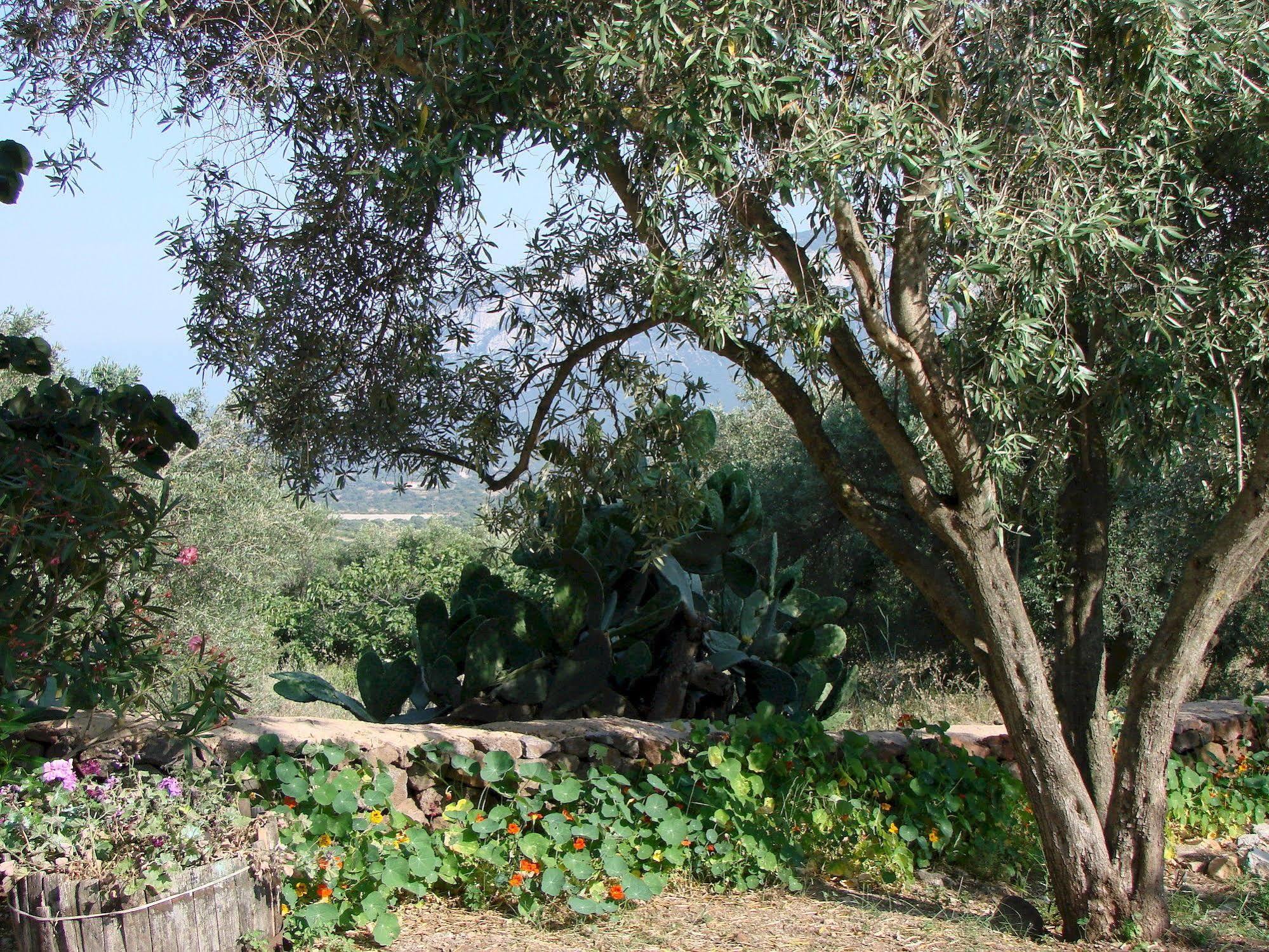 Agriturismo Su Tiresi Cala Gonone Luaran gambar