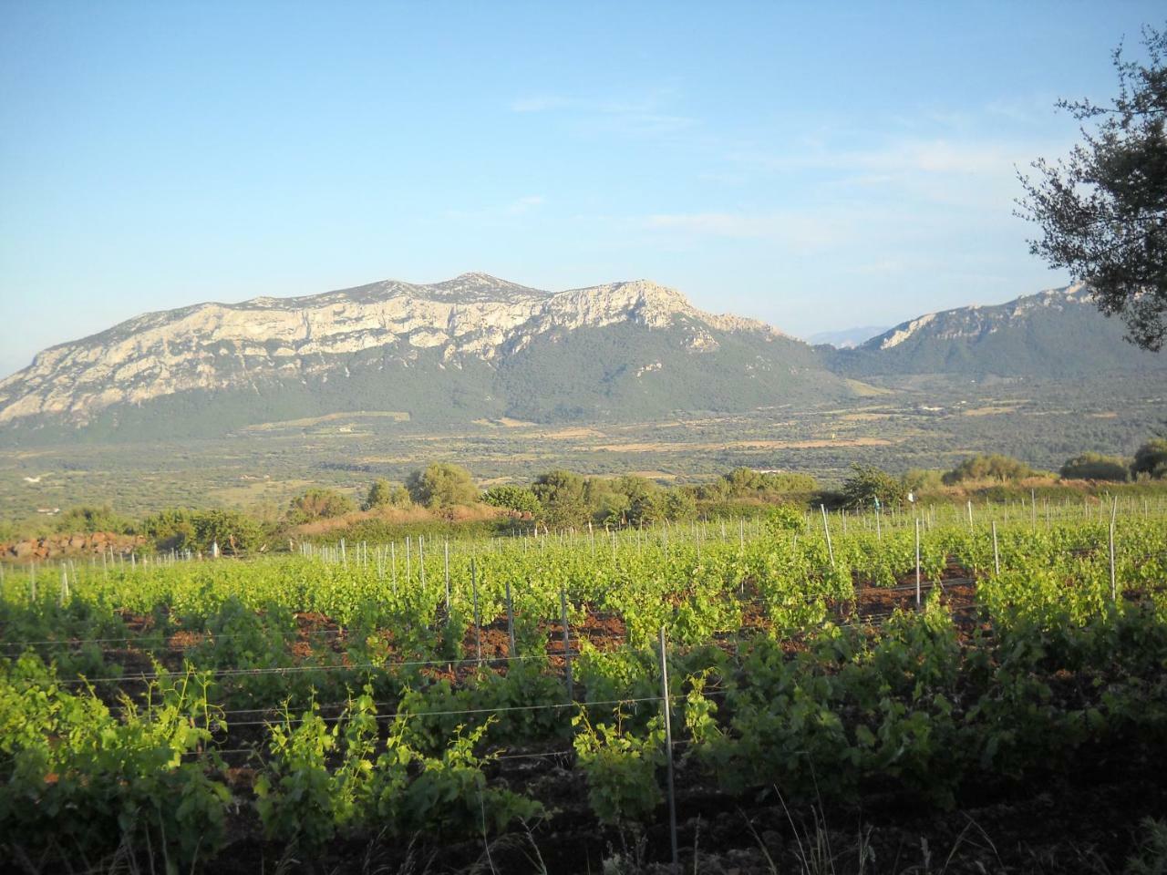 Agriturismo Su Tiresi Cala Gonone Luaran gambar